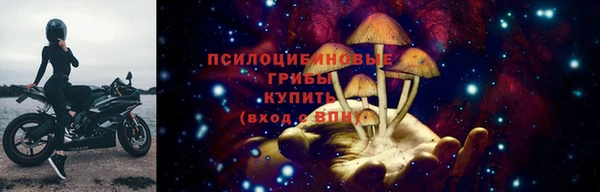 дживик Бугульма