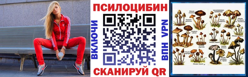 кракен вход  Кинель  Псилоцибиновые грибы Magic Shrooms  наркотики 